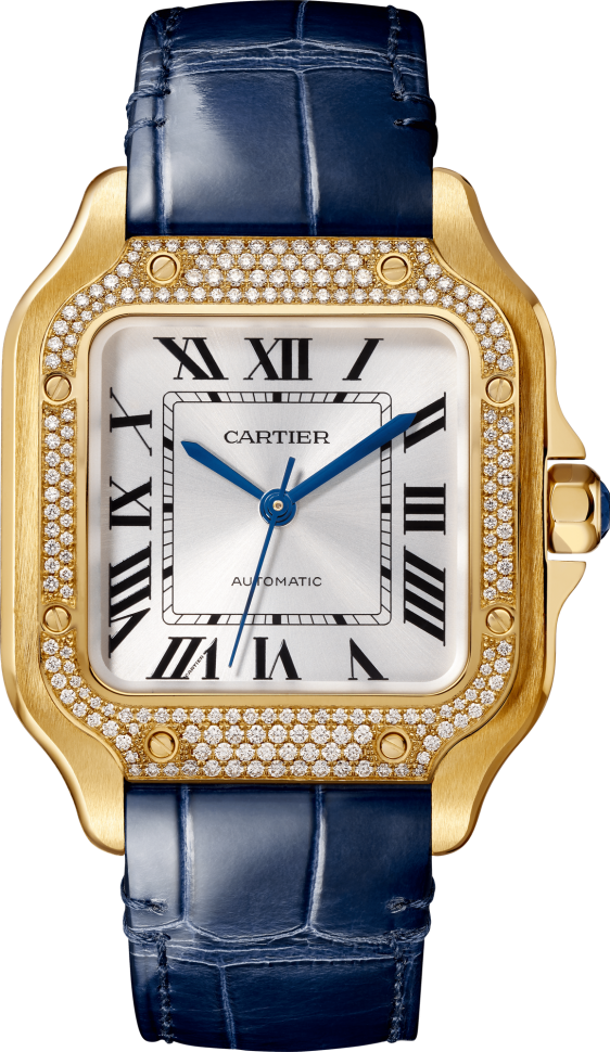 Santos De Cartier Watch WJSA0013